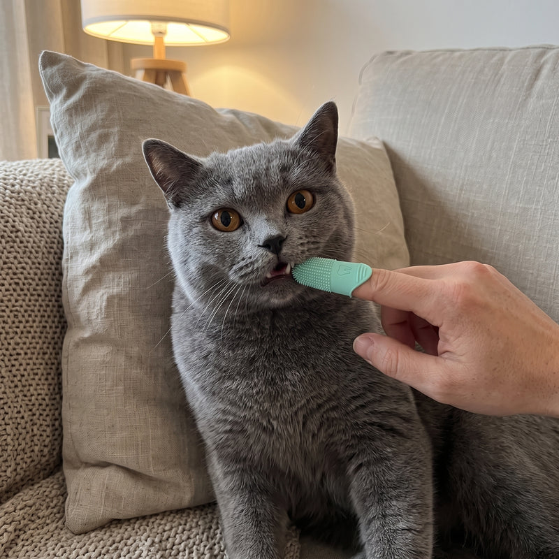 Finger Brush