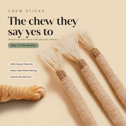 Natural Chew Toy