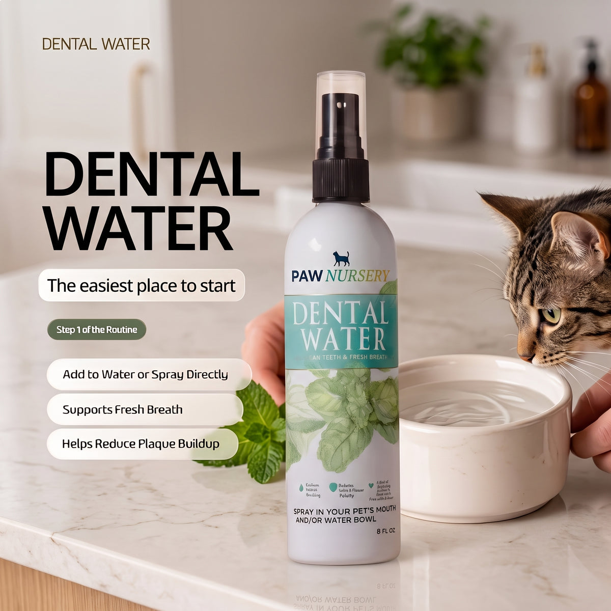 Cat Dental Kit