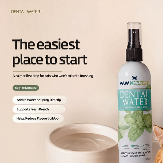 Dental Water Additive